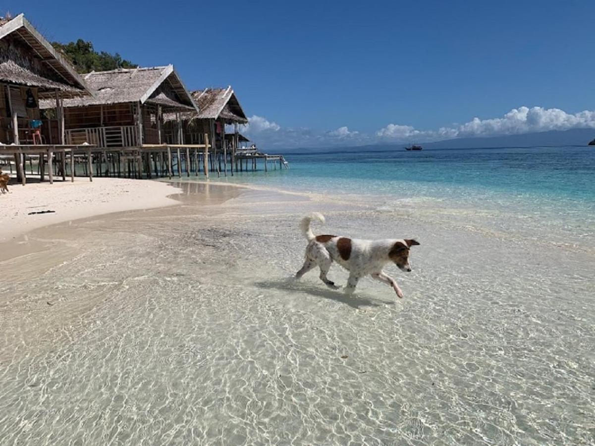 Nus Homestay Raja Ampat Kri Buitenkant foto